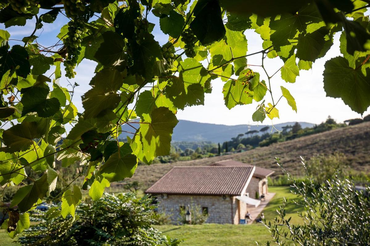 Tenuta I Tufari Tivoli Luaran gambar