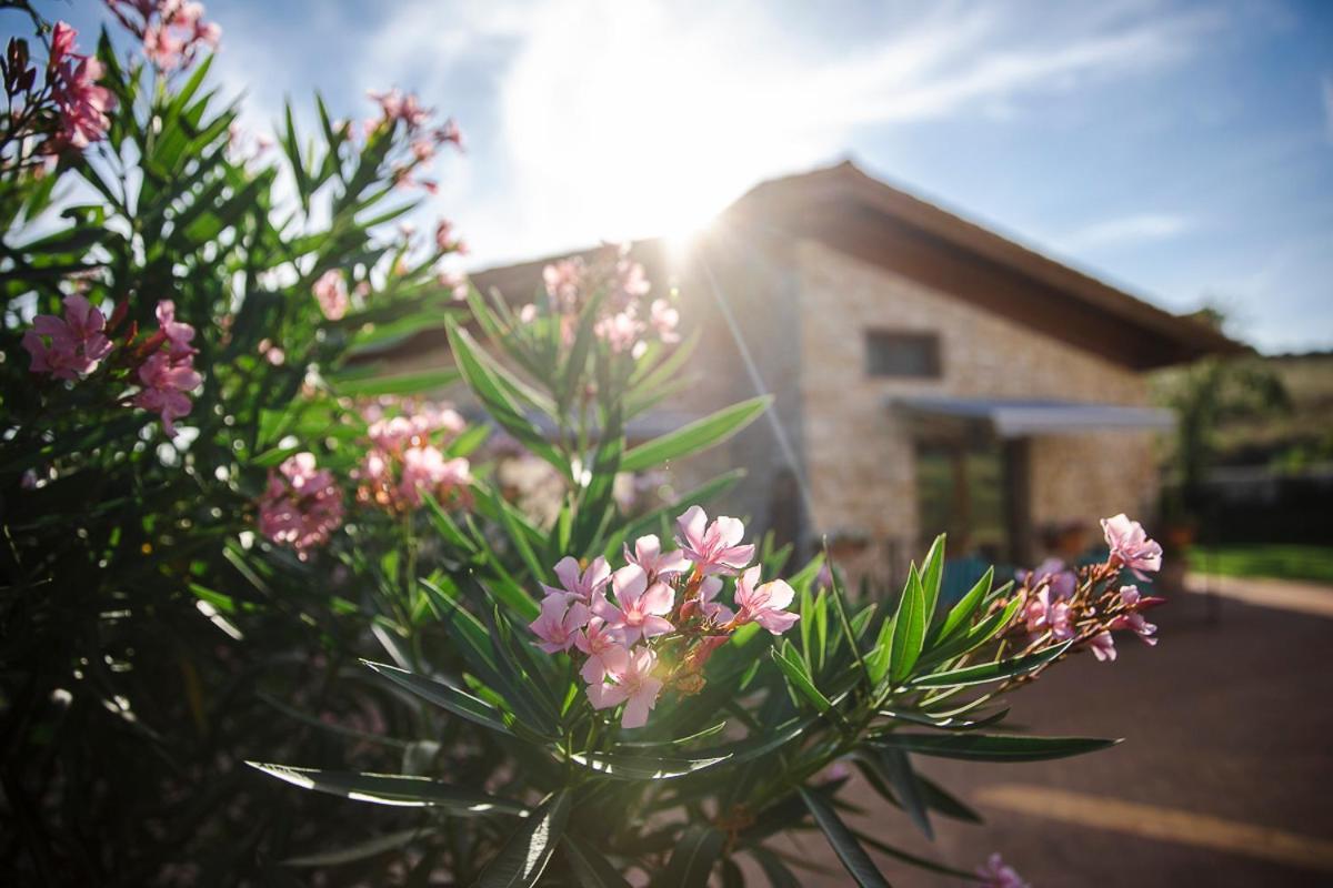 Tenuta I Tufari Tivoli Luaran gambar