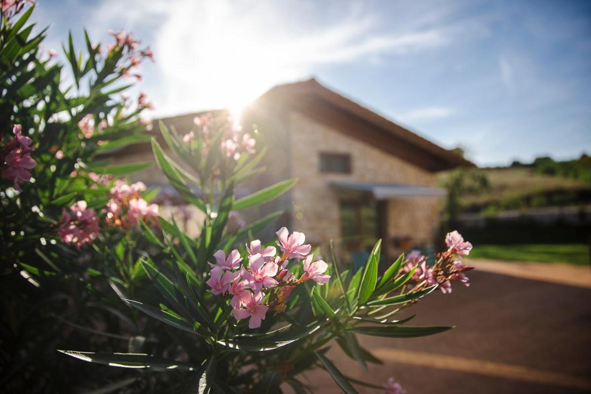 Tenuta I Tufari Tivoli Luaran gambar